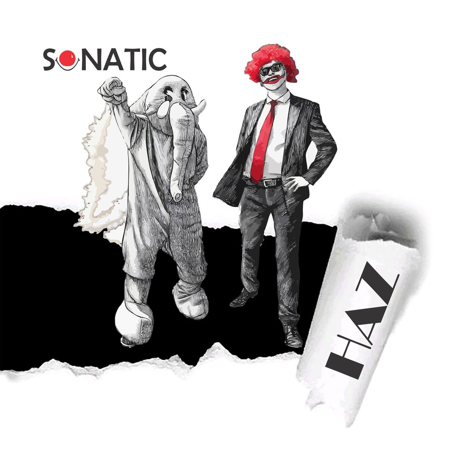 Coperta albumului Haz – Sonatic